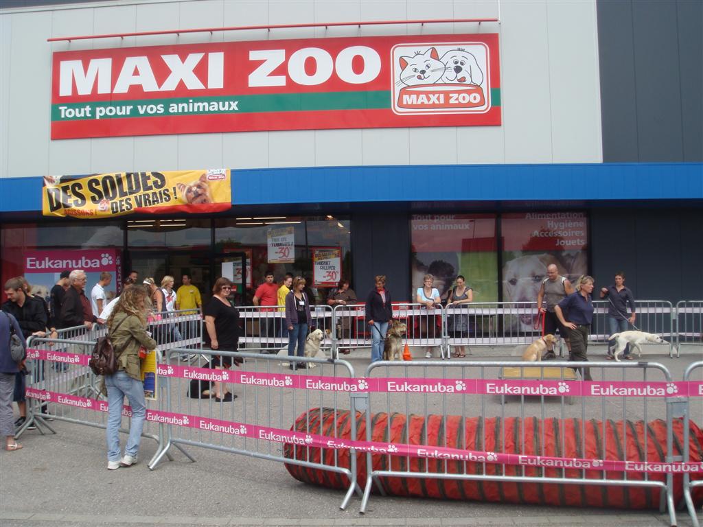 animation sur un parking de maxizoo en 2011